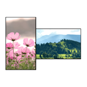 CleverTouch Écran Interactif CM Pro 86"