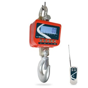 Bascule industrielle Brehm (CSB-12000)