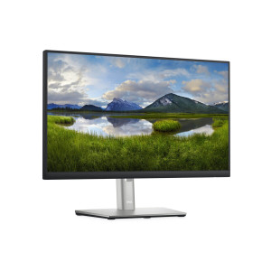 Écran IPS 21.5" Full HD Dell P2222H