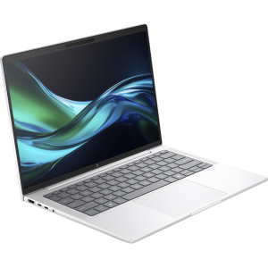 Ordinateur portable HP EliteBook 1040 G11 (A36Z4ET)