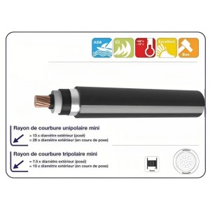 Câble MT PRC cuivre S22 (CMTPRCS22)