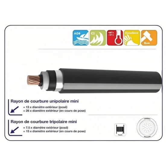 Câble MT PRC cuivre S22 (CMTPRCS22)