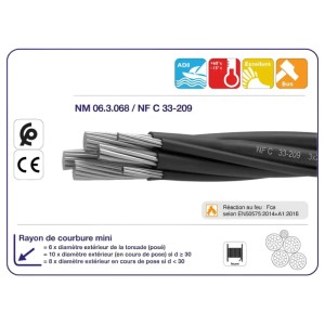Câble torsadé de distribution isolé 0,6/1KV (CTDI01)
