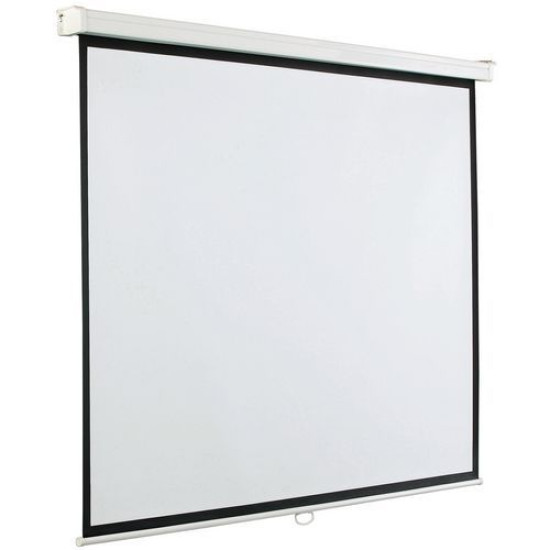 ECRAN DE PROJECTION DINON MURAL MANUEL