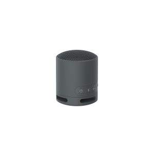 Enceinte portable SONY SRS-XB100