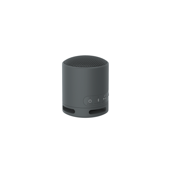 Enceinte portable SONY SRS-XB100