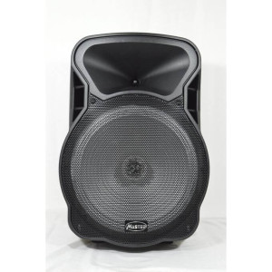 Haut Parleur Amplifié Master MASTER-A15-2